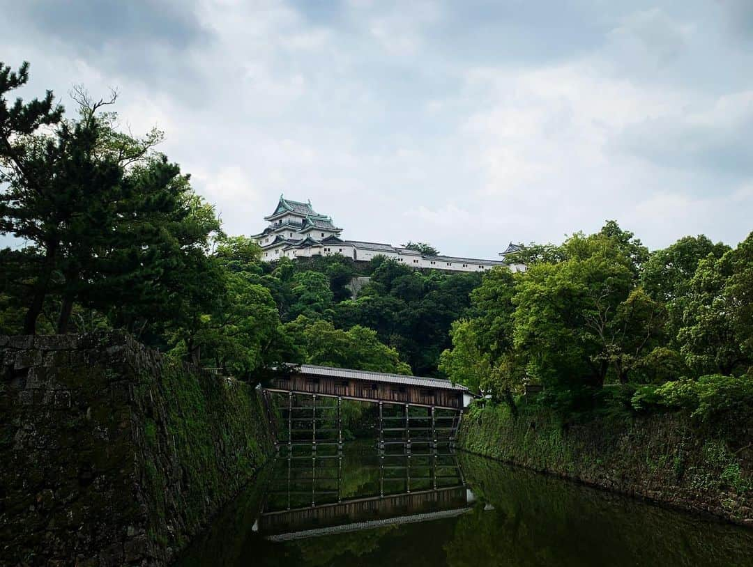 渡會将士さんのインスタグラム写真 - (渡會将士Instagram)「和歌山、もっともっと来たいなぁ！ 地元の人といっぱいお酒も飲めたし、地元のバンドさんと沢山音楽の話が出来た！ どんどん和歌山が好きになる一方です。 和歌山のバンドはみんな他県のツアバンを迎え入れて迎撃しまくって欲しいなぁ〜。みんな本当に面白くて良い奴ばかりなんだもの！ 街も人もとても素敵だった。もちろん観光でもまた来たい！ あとパンダの赤ちゃん見たい！ ＃和歌山 #パンダの赤ちゃん産まれ過ぎ #テレビが壊れたかと思ったら岩谷自動車のCMだったネタ話し忘れた #産まれて初めてラルクカバーした #いろいろ楽しすぎてバルス出来なかった #将士は元気です」9月1日 1時41分 - masashi.watarai