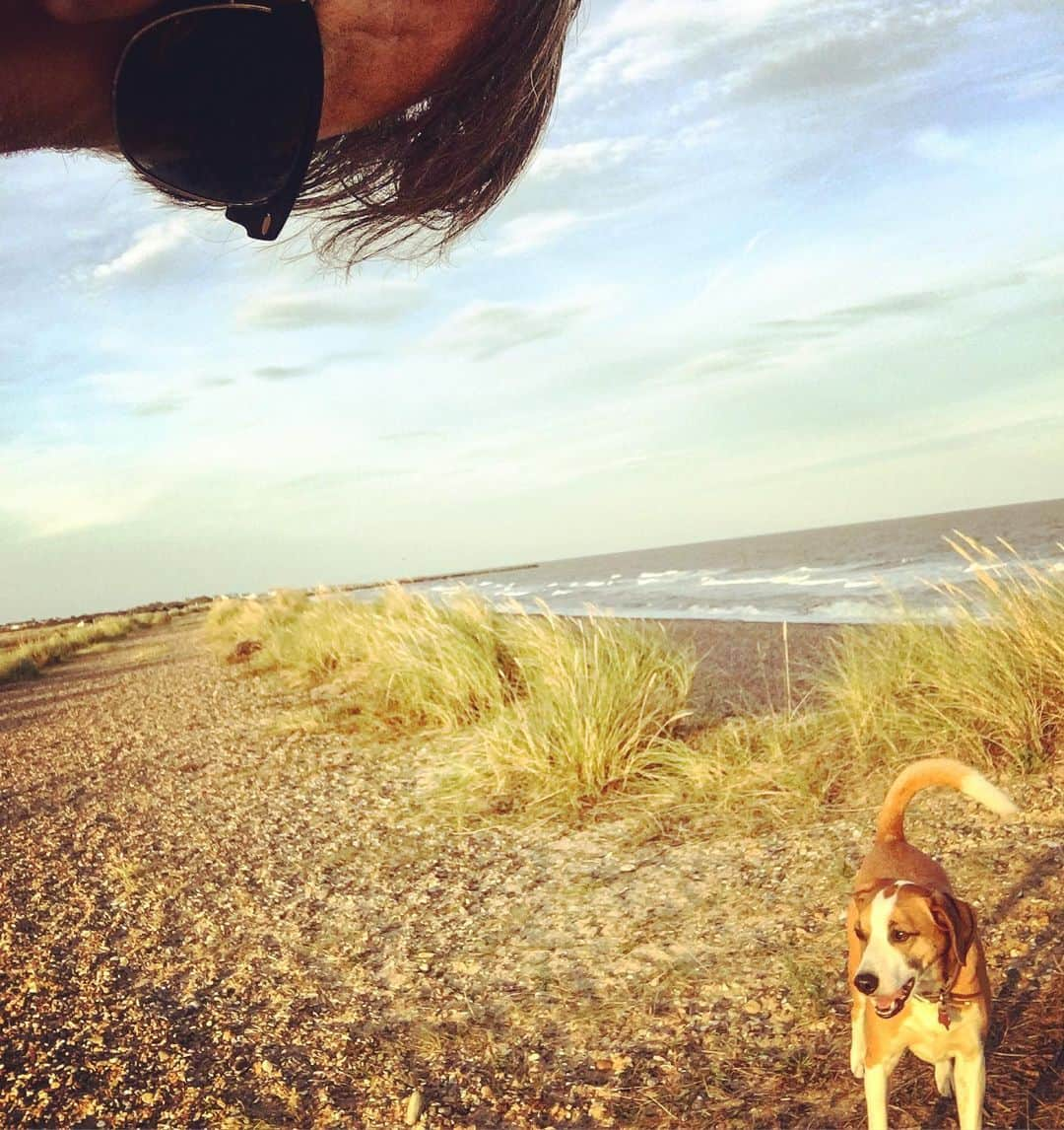 デビッド・モリシーさんのインスタグラム写真 - (デビッド・モリシーInstagram)「Billy, Beach and Big Head!」9月1日 2時32分 - davidmorrissey