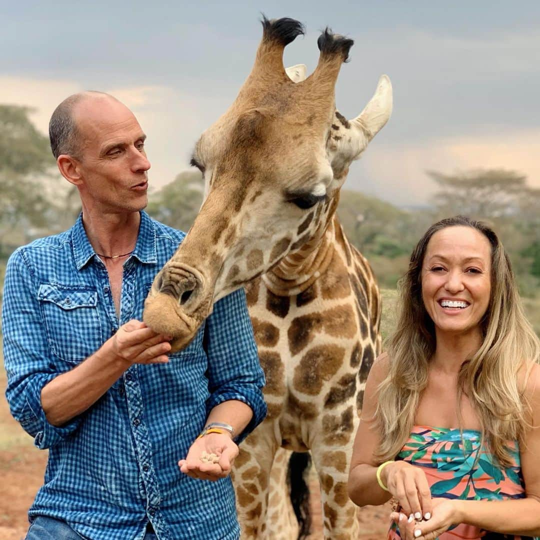 キノ・マクレガ―さんのインスタグラム写真 - (キノ・マクレガ―Instagram)「What a spectacular blessing to be up close and personal with these amazing creatures 🦒 The giraffes of Kenya are magical beings, and, in fact there are many subspecies of giraffes. This beautiful girl that we are feeding here is an endangered Rothschild giraffe. There are less than 2,000 of her species left on Earth. The distinguishing feature of Rothschild giraffe is their white lower legs, which are often described as appearing like stockings. _ Since the 1930s #giraffemanor from @thesafaricollection has worked to preserve the Rothschild giraffe. Situated next to a 140 acre nature preserve, Giraffe Manor is a rescue and sanctuary space. The giraffes are free to come and go. They show up at breakfast and at tea. There is a nursery to protect the newborns and young giraffes from predators like the big cats. And of course lots of food from friends and visitors to keep them healthy.  _ I remember the first time I saw pictures from Giraffe Manor. I couldn’t believe it was real. All I knew was that I wanted to go, and here I am. Now that I’ve been I can say that it’s definitely for real, even better than you could imagine. Such a dream come true. And what a perfect end to our time in Kenya. Giraffe kiss and more in stories 💗 _ #kenya #thesafaricollection 🙏」9月1日 2時47分 - kinoyoga