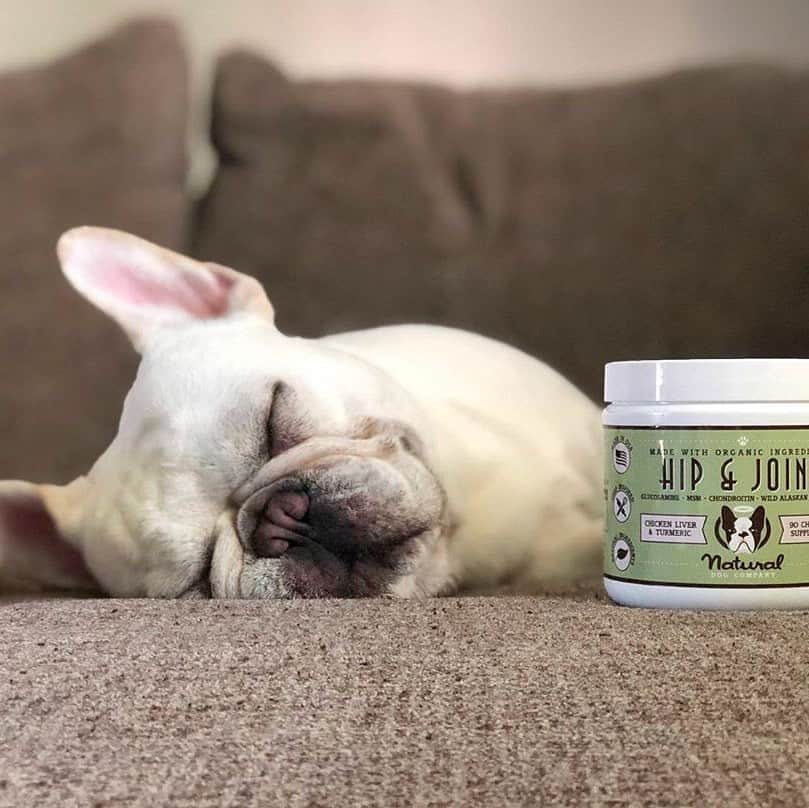 Regeneratti&Oliveira Kennelさんのインスタグラム写真 - (Regeneratti&Oliveira KennelInstagram)「Supplements are a great way to help your dog live their absolute best life. The #HipAndJoint supplements from @NaturalDogCompany are perfect for dogs of all ages, as both a preventative to keep dogs’ joints strong, and a supplement that provides joint support and relief for mature pups. These vet-approved chews are made of a powerful blend of anti-inflammatory, joint-supporting, and natural ingredients. . ⭐ Save 20% off @naturaldogcompany with code JMARCOZ at NaturalDog.com | worldwide shipping | ad 📷: @kingstonfrenchie . . . . . . #puppy #puppylove #puppygram #puppyoftheday #puppylife #frenchbulldog #puppypalace #puppys #puppyface #puppies #puppiesofinstagram #frenchie #frenchiesofinstagram #frenchies #frenchielove #frenchieoftheday #frenchiegram #frenchielife #frenchiepuppy #frenchiesociety #frenchiesofig #frenchiestagram #frenchiebulldog #frenchielovers  #frenchbulldogofinstagram  #bullylove」9月1日 3時24分 - jmarcoz