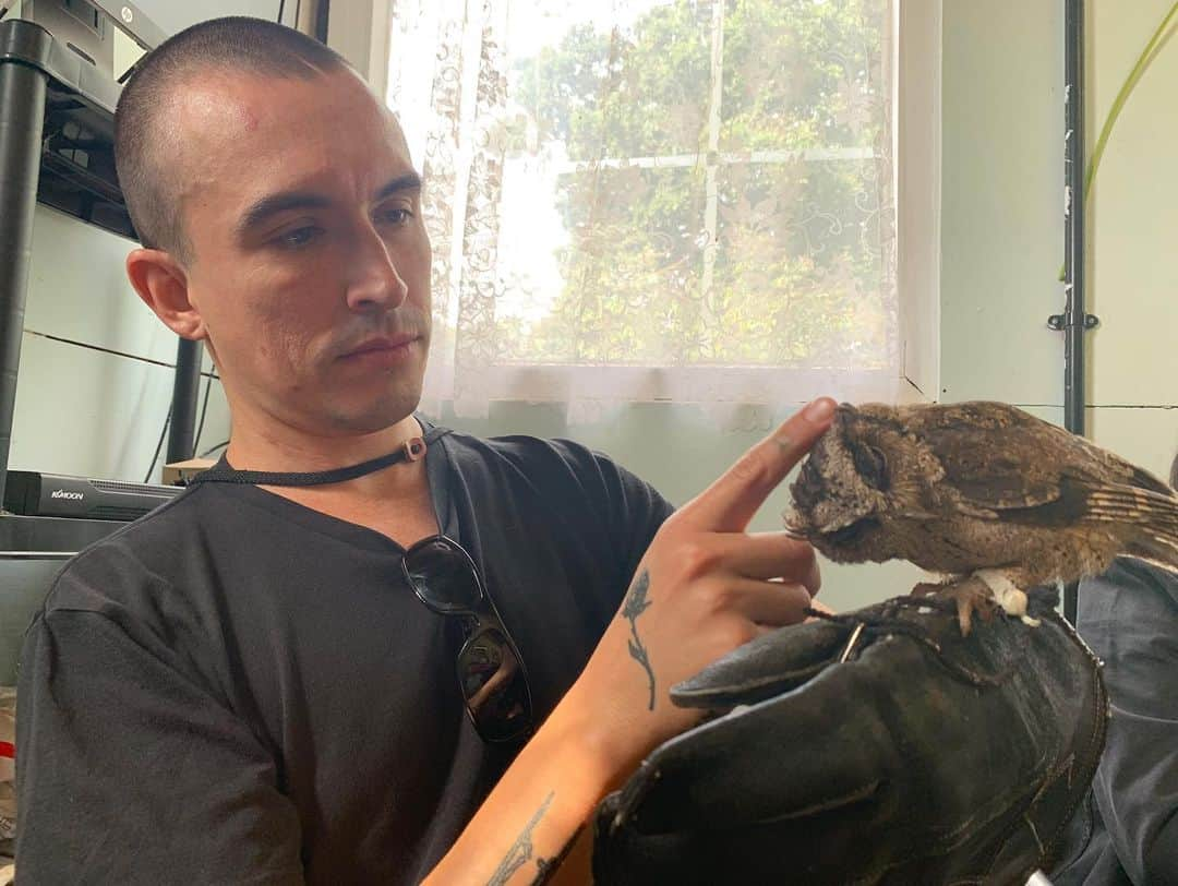 ケイト・ナッシュさんのインスタグラム写真 - (ケイト・ナッシュInstagram)「I TOLD YOU I cannnot talk right now. I am EXTREMMMMELY BUSY I have VERY important business with a very VERY TINY OWL by the name of OTIS 🦉  @codafalconry」9月1日 3時46分 - katenash