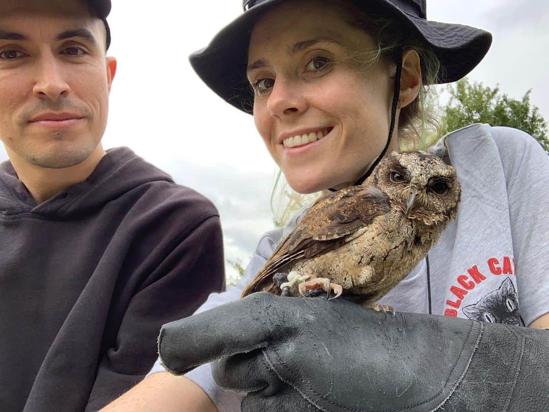 ケイト・ナッシュさんのインスタグラム写真 - (ケイト・ナッシュInstagram)「I TOLD YOU I cannnot talk right now. I am EXTREMMMMELY BUSY I have VERY important business with a very VERY TINY OWL by the name of OTIS 🦉  @codafalconry」9月1日 3時46分 - katenash