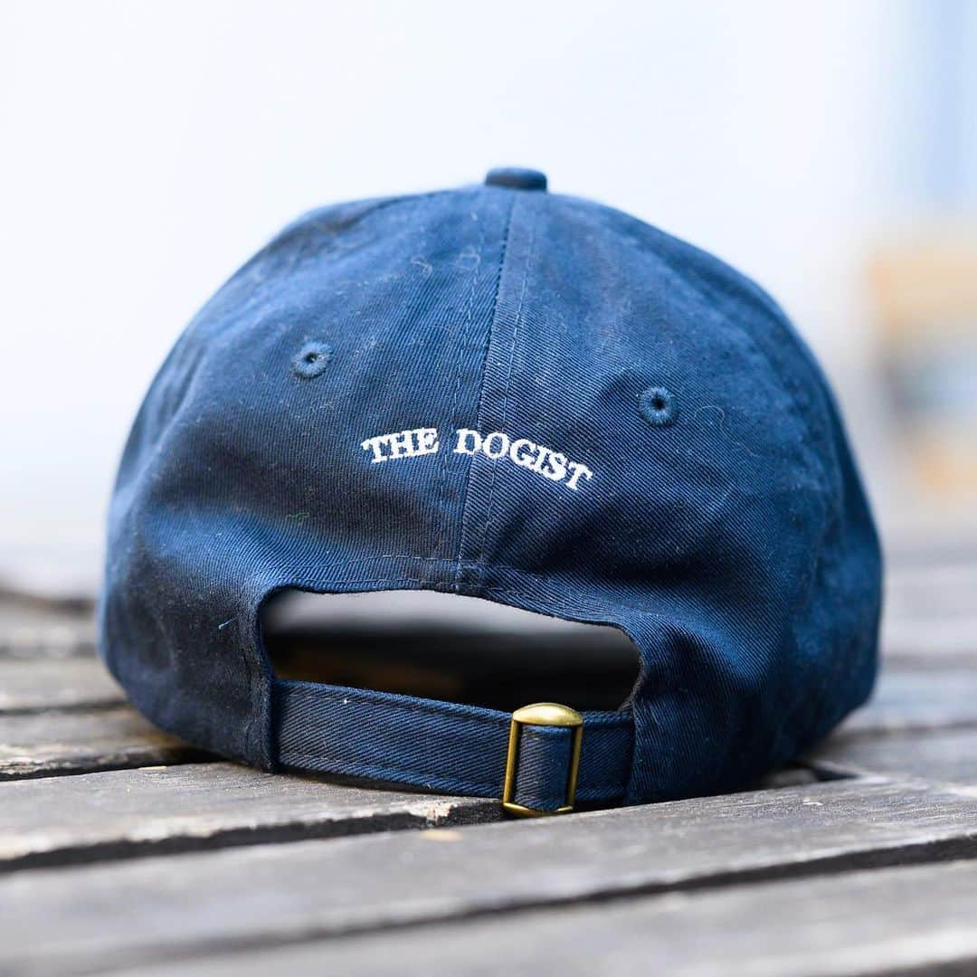 The Dogistさんのインスタグラム写真 - (The DogistInstagram)「New navy hats! Look as handsome as Tito and get 25% off this weekend with code LABORDAY25 at @thedogistshop , link in bio」9月1日 4時50分 - thedogist