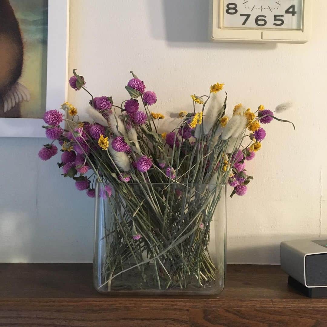 井上荒野さんのインスタグラム写真 - (井上荒野Instagram)「ファーマーズマーケットで売ってるドライフラワーがとてもかわいい。」9月1日 15時15分 - arereno