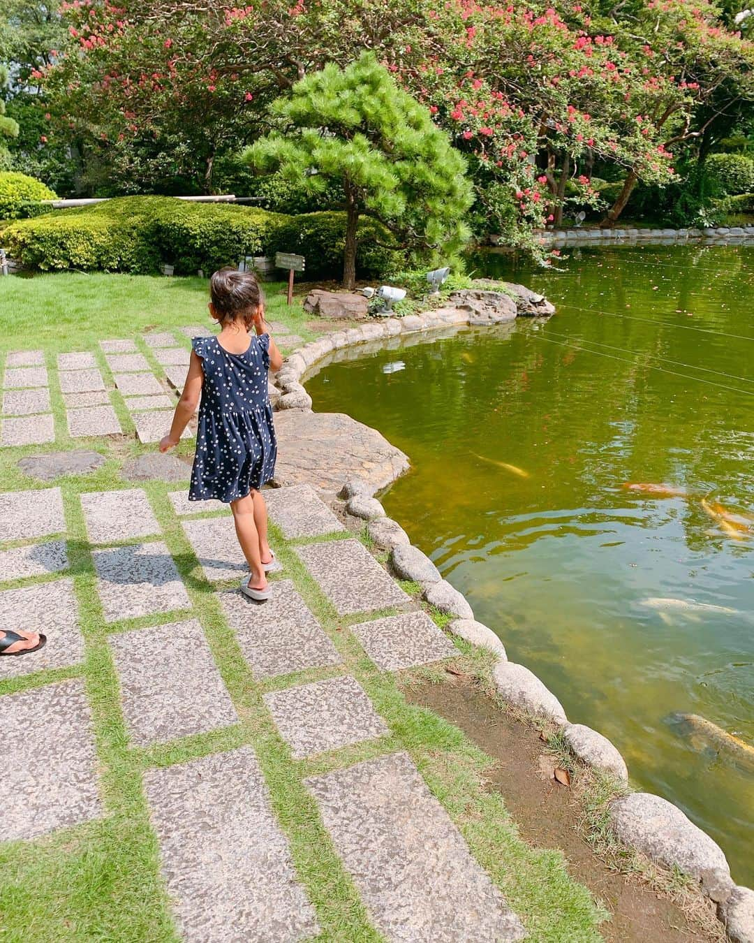 黒木なつみさんのインスタグラム写真 - (黒木なつみInstagram)「Hello september♡﻿ ﻿ 昔は夏の終わりって切ない感じがしたけど今は結構好き✌︎﻿ 何だろな、暑すぎるのが無理になってきたかしら？🤔﻿ ﻿ #夏休み最後は﻿ #都内のホテルでのんびり﻿ #Gardenpool﻿ #weekend﻿ #happiest」9月1日 15時23分 - natsumi0086