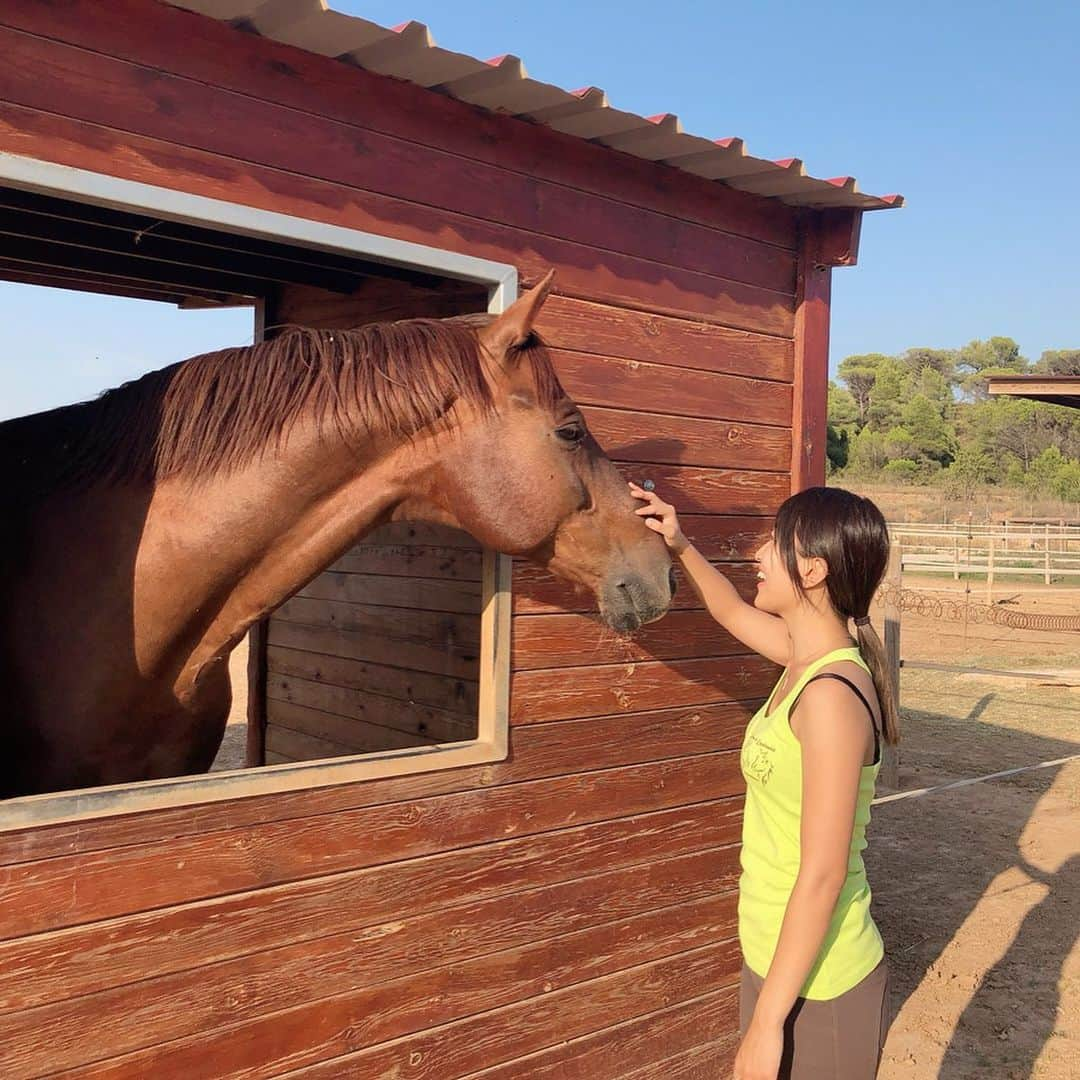 上枝恵美加さんのインスタグラム写真 - (上枝恵美加Instagram)「I love my life🐴♥️」9月1日 7時43分 - emika_kamieda