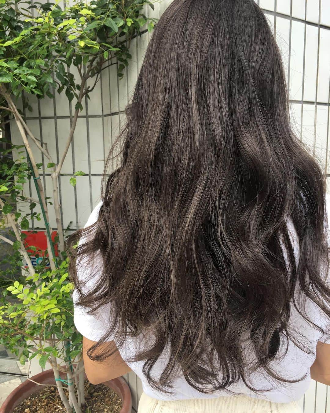 大石亜里紗のインスタグラム：「. . –––––––––––––––––––––––––––– . highlight🐄milk tea beige . . 柔らかいハイトーンカラー お任せください🦔🌿✨ DM・☎︎からのご予約がおススメ🌻 . –––––––––––––––––––––––––––– . . #crea_arisa 大人気のおススメカラー🌿 #ミルクたっぷりカラー🥛 . 色素薄い外国人のような 赤味のないカラーなら お任せください👩🏼💐 . . #ミルクティーベージュ #ミルクティーカラー #ミルクティーアッシュ #ミルクティー色 #ミルクティーグレージュ #シースルーカラー #クリーミーベージュ #色素薄い  #シアカラー  #マットカラー #セピアグレージュ  #マットグレージュ」