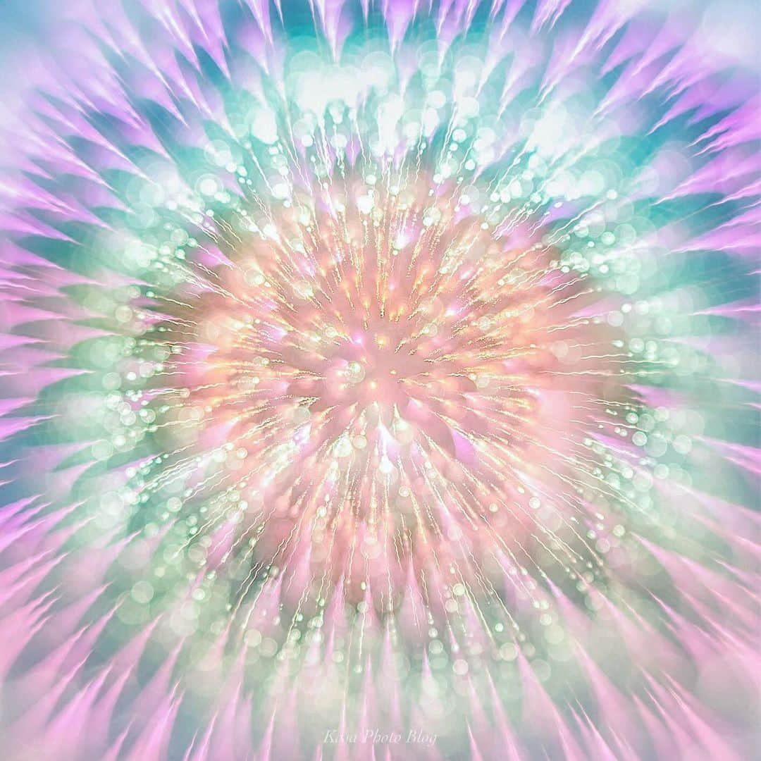 コサのグルメインスタ