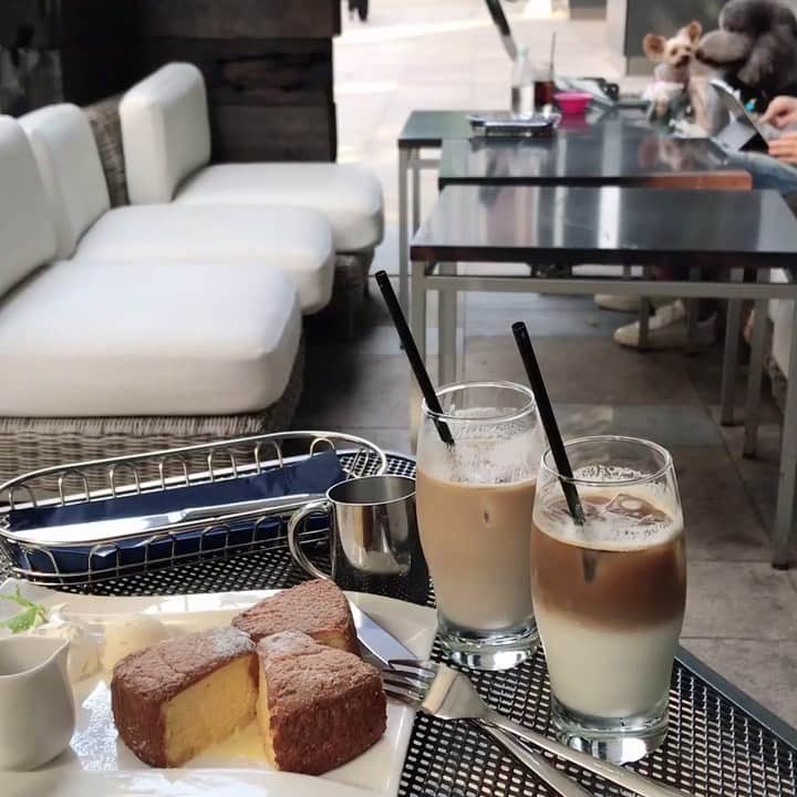 Michikoのグルメインスタ