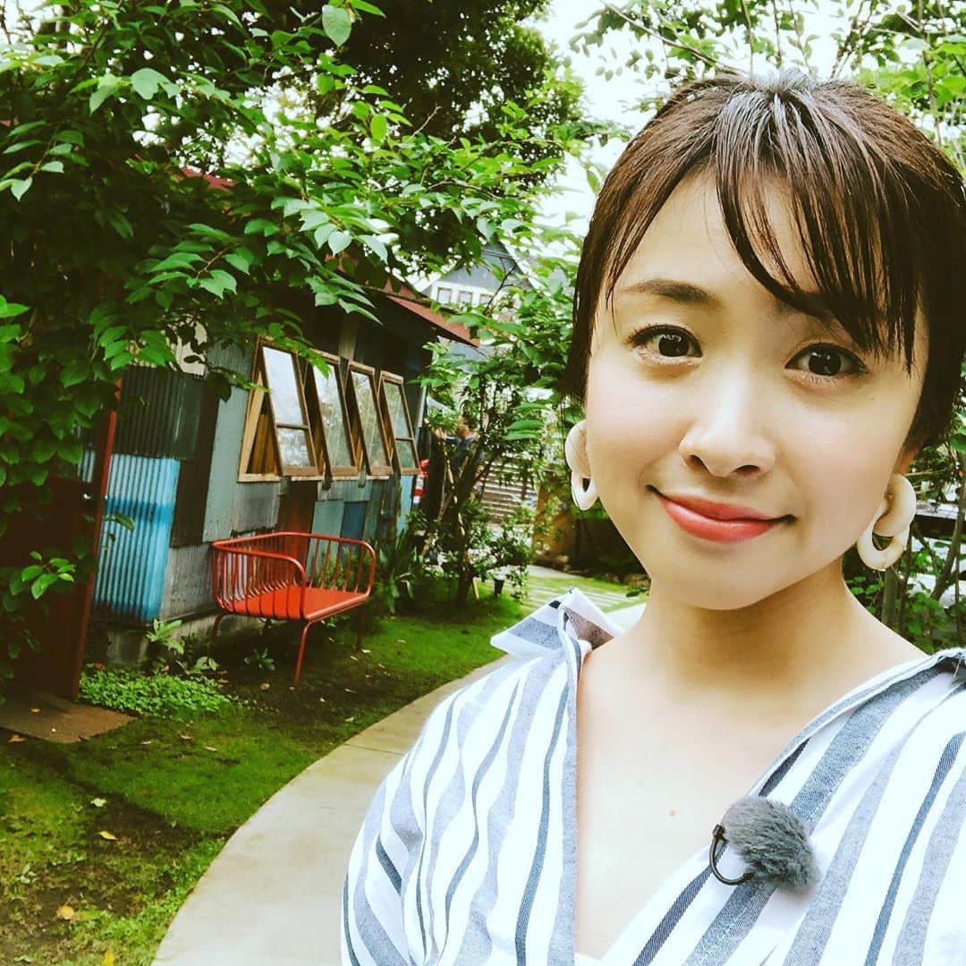 黛英里佳さんのインスタグラム写真 - (黛英里佳Instagram)「昨日のMBS「住人十色」ご覧いただいた皆さまありがとうございましたm(_ _)m✨  鎌倉の超絶お洒落な住居兼ハウススタジオでした☺️ いやもう本当どこ撮っても映える映える😂  ピンタレストは私は初めて知ったのですが、めちゃめちゃ便利ですね😳✨ これからお家を建てる方、リフォームされる方、模様替えをしようとしてる方おススメです😆  そして「いつか」と思っていたことはもしかして少しの勇気と気力があれば大抵のことは出来るんじゃないかな、とご夫婦の行動力に 学ばせていただきました🙇🏻‍♀️ MBSのHP、またはTVerでもご覧いただけますのでぜひチェックしてみてくださいね💕  #毎日放送#住人十色#鎌倉#えらそうにくつろぐの巻」9月1日 10時14分 - erikamayuzumi_official