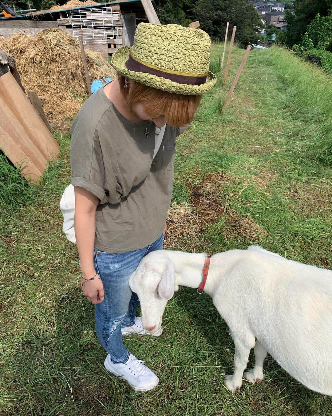 乃下未帆のグルメインスタ