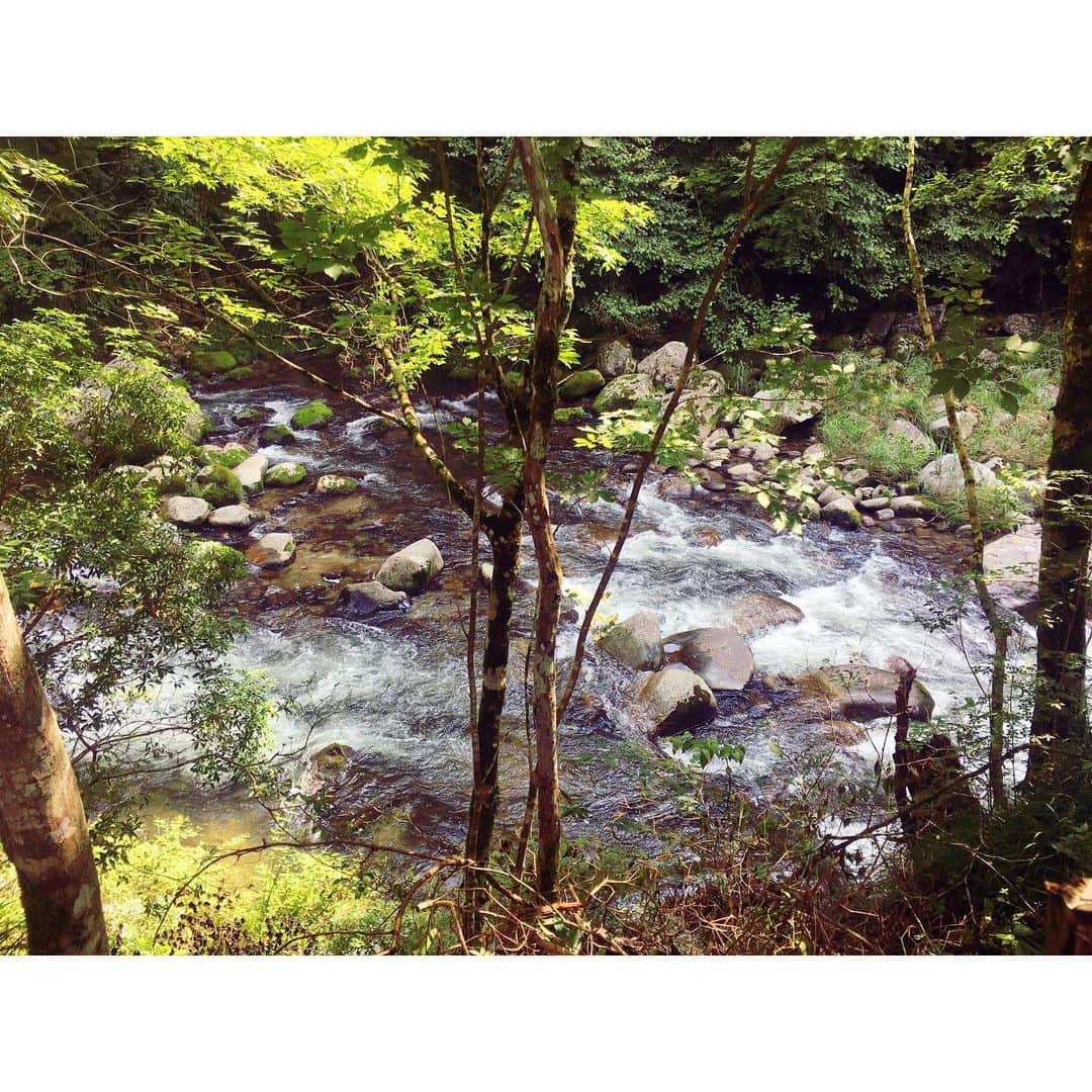 イレーネのグルメインスタ