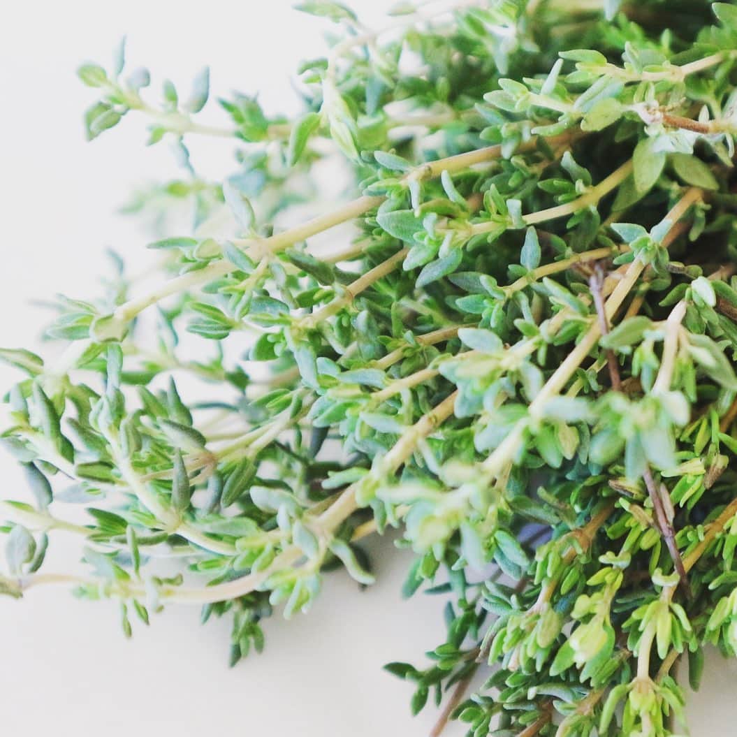 Nablus Japanのインスタグラム：「#ナーブルスソープ 夏のベストセラー #タイム  タイムは、抗菌作用、殺菌作用にとても優れたハーブです。 肌には水虫や傷の消毒にも有効です。加齢臭などの体臭対策にも良いと言われています。 . . #nablussoap」
