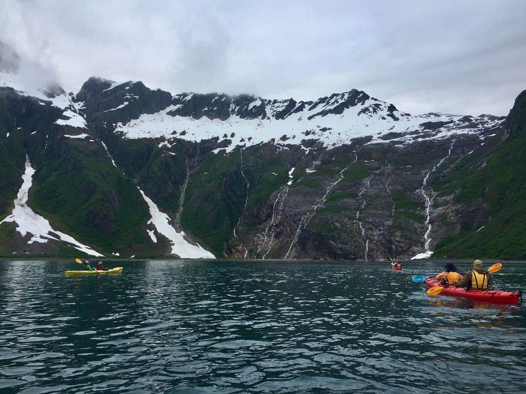 アメリカ大使館さんのインスタグラム写真 - (アメリカ大使館Instagram)「こちらも#アラスカ からの1枚📸 シーカヤック🛶を漕いで、夏のアラスカを満喫です‼️ Abra Coveという場所です。 アウトドア派の方には是非行ってみて欲しい‼️ . #us #usa #america #alaska #boat #seakayaking #paddling #sea #ocean #land #mountains #summer #summervacation #outdoors #snow #アメリカ #留学 #studyabroad #アメリカ生活 #海外生活 #旅行 #夏休み #雪 #山 #海 #シーカヤック #photooftheday #大自然 #アウトドア」9月1日 11時16分 - usembassytokyo