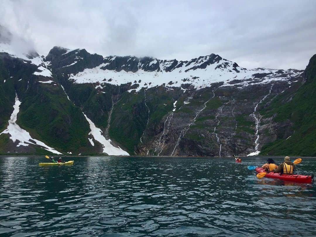 のインスタグラム：「こちらも#アラスカ からの1枚📸 シーカヤック🛶を漕いで、夏のアラスカを満喫です‼️ Abra Coveという場所です。 アウトドア派の方には是非行ってみて欲しい‼️ . #us #usa #america #alaska #boat #seakayaking #paddling #sea #ocean #land #mountains #summer #summervacation #outdoors #snow #アメリカ #留学 #studyabroad #アメリカ生活 #海外生活 #旅行 #夏休み #雪 #山 #海 #シーカヤック #photooftheday #大自然 #アウトドア」