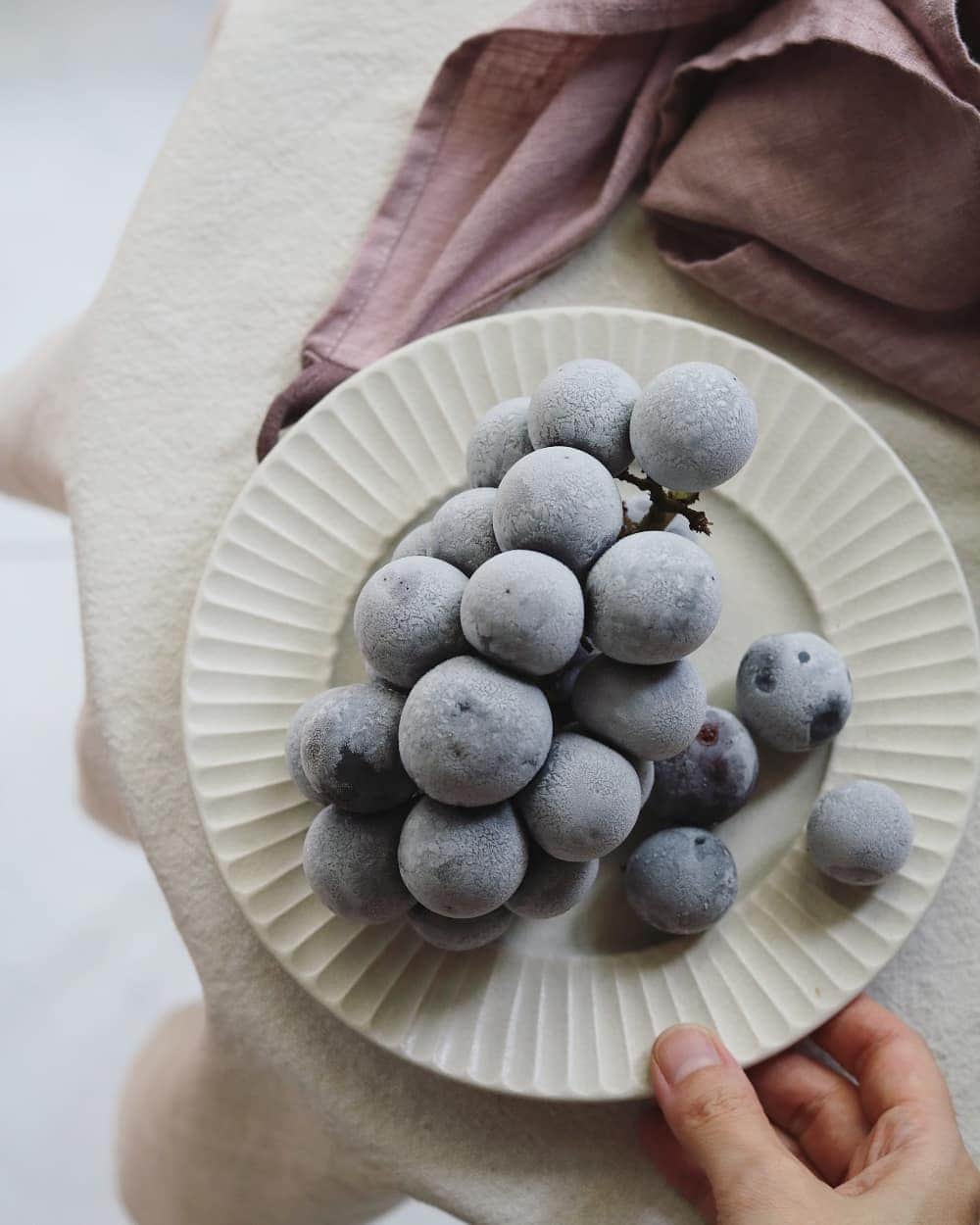 栁川かおりさんのインスタグラム写真 - (栁川かおりInstagram)「Frozen grape. * 表面が真っ白くなった 溶けかけが食べ頃。 しゃりしゃりが美味しいー。 * #冷凍ぶどう」9月1日 11時19分 - kaori_yanagawa