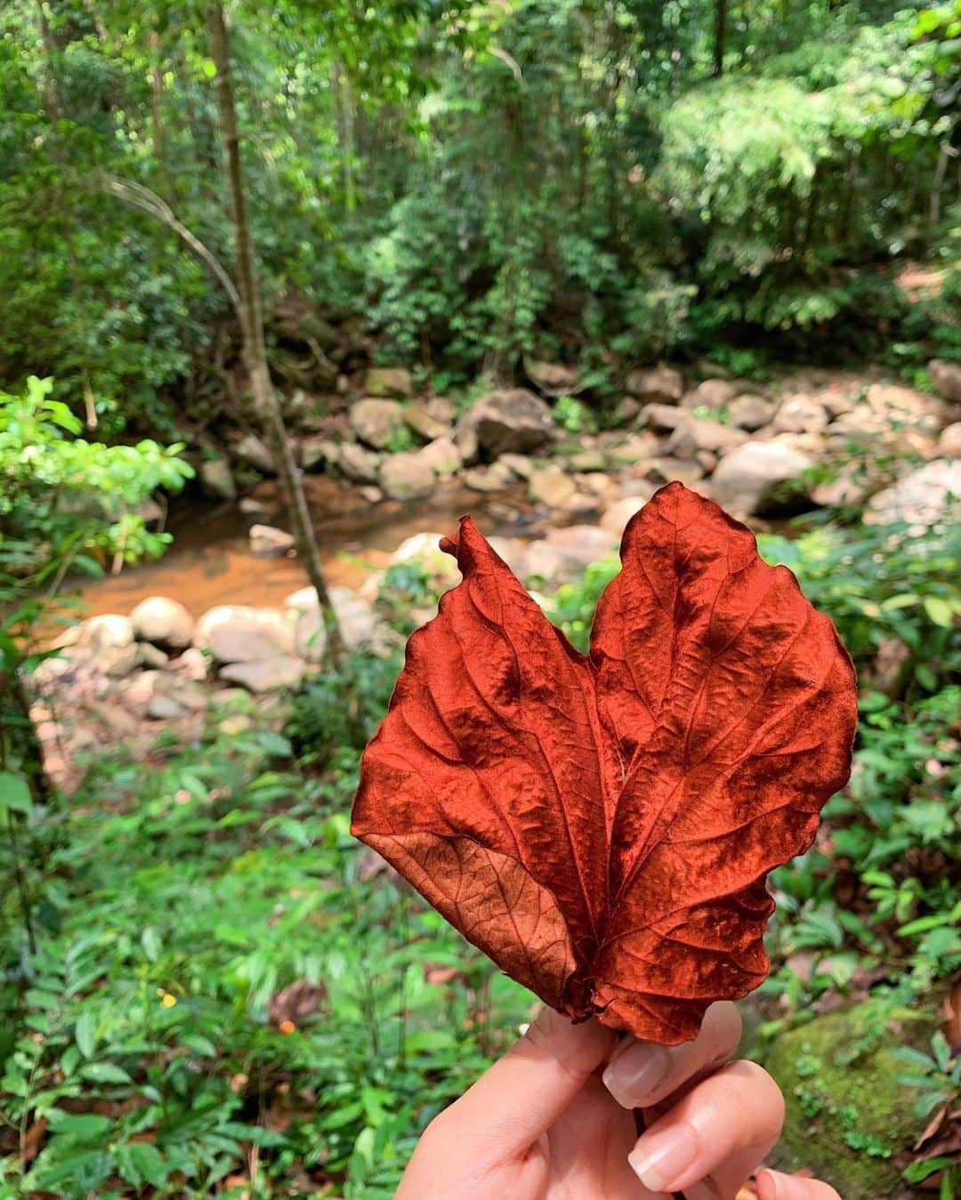 Amata Chittaseneeさんのインスタグラム写真 - (Amata ChittaseneeInstagram)「I 🧡you #southsmile #Thailand」9月1日 11時21分 - pearypie