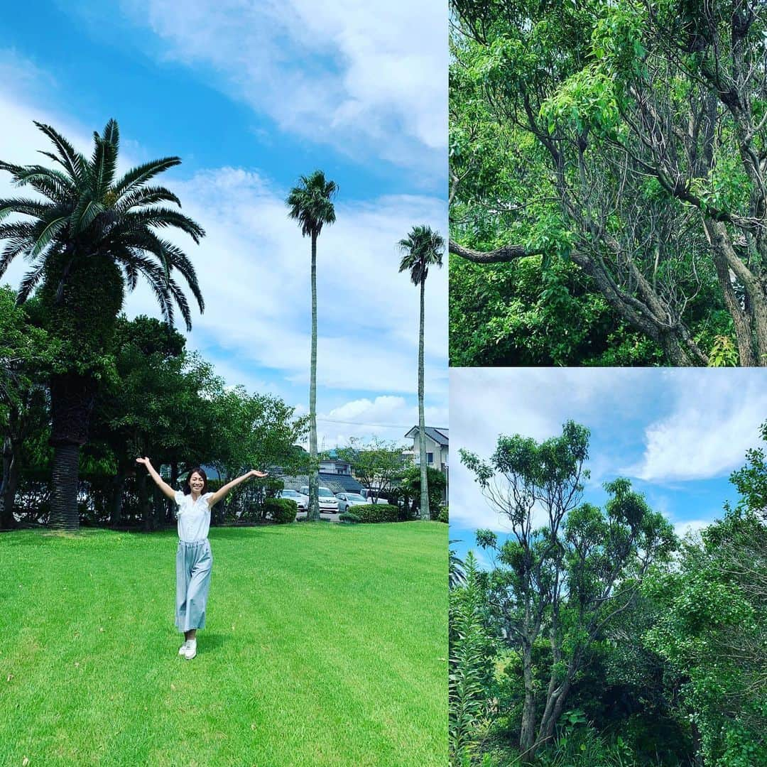 玉城ちはるさんのインスタグラム写真 - (玉城ちはるInstagram)「晴天！  木の枝の感じがやはり南国🌸  キッモチィィ^_^  本番前にリフレッシュしすぎ笑笑  #鹿児島 #枕崎市 #まくらざき  这里是日本最南端的站,是枕崎市。以后唱吧  #以后 #唱 #这里」9月1日 12時54分 - chiharu_tamaki