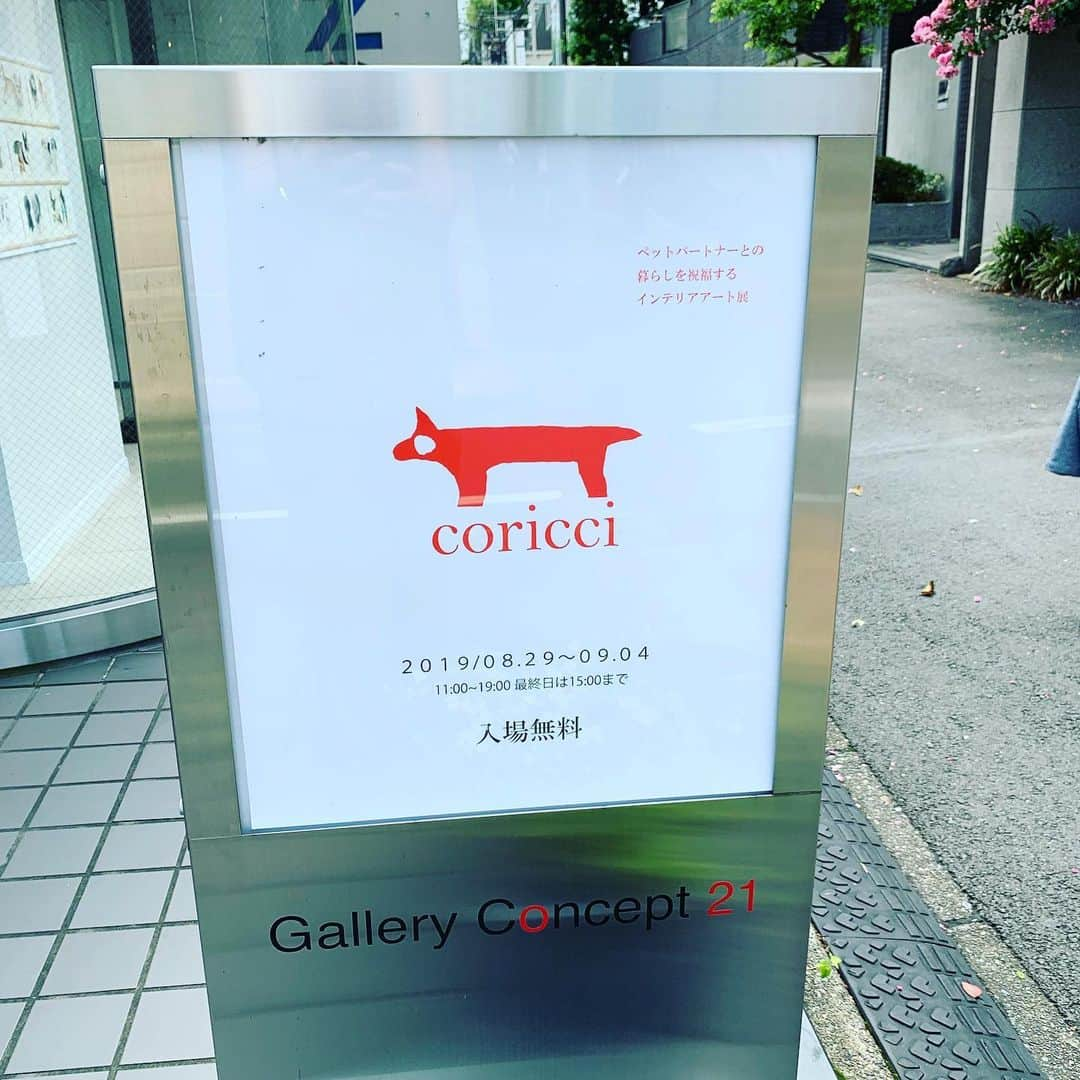 nocotoさんのインスタグラム写真 - (nocotoInstagram)「インテリアアートやペットポートレートがとても素敵なイラストレーター @coricci_explore さんの展示に行って来ました。  凄い点数でまずびっくり！うちのコちゃんを描いてもらった方も沢山でとても見応えありました✨ 表参道のギャラリー Concept 21で 4日水曜日までやつていますので、ぜひ足を運んでみてくださいね。  実はこの @coricci_explore さんにご一緒頂いた企画進行中。また追ってお知らせさせて頂きますのでお楽しみに！  #illustration  #petportlate  #coricci #coricci_drawing  #dog #dogillustration」9月1日 13時30分 - nocoto_store