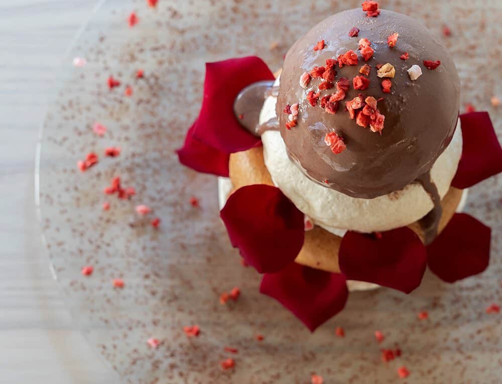 コエのグルメインスタ