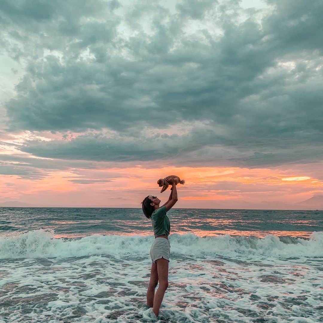 のインスタグラム：「海キライなもんじゃ、おやつにつられて海に入ってしまった🤪足ピーン！ . . イッヌとの夏の終わり⛵️. 最近フィルター？かけてるのにハマってる。 ワンタッチでいきなりいい写真になる @haneypresets 助かる🙏 . #一色海岸#一色海岸海水浴場 #今日のもんじゃ #夏休み#夏2019#夏の終わり #ちびすけ#リアルライオンキング」