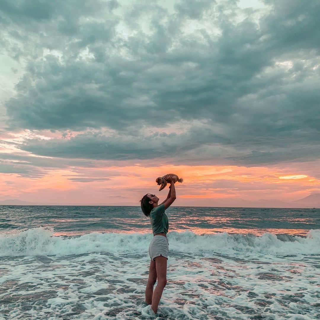 Mika Jimboさんのインスタグラム写真 - (Mika JimboInstagram)「海キライなもんじゃ、おやつにつられて海に入ってしまった🤪足ピーン！ . . イッヌとの夏の終わり⛵️. 最近フィルター？かけてるのにハマってる。 ワンタッチでいきなりいい写真になる @haneypresets 助かる🙏 . #一色海岸#一色海岸海水浴場 #今日のもんじゃ #夏休み#夏2019#夏の終わり #ちびすけ#リアルライオンキング」9月1日 13時59分 - mikajimbox