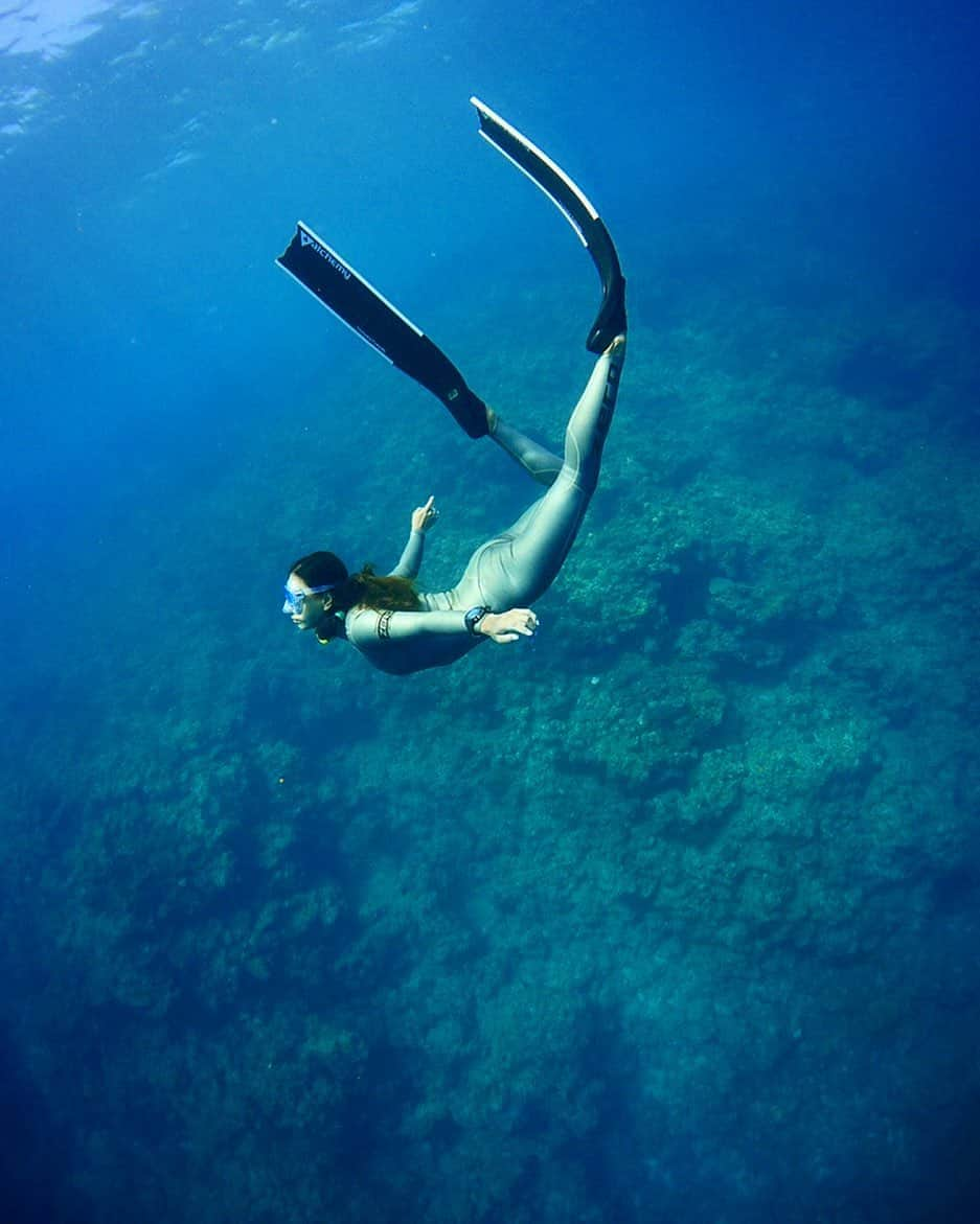 福田朋夏さんのインスタグラム写真 - (福田朋夏Instagram)「海に潜ってる時は空を飛んでるみたいな感覚になって気持ちいい✨🦋 #ocean #freediving #diving #training #oceanlove」9月1日 14時11分 - tomoka_fukuda