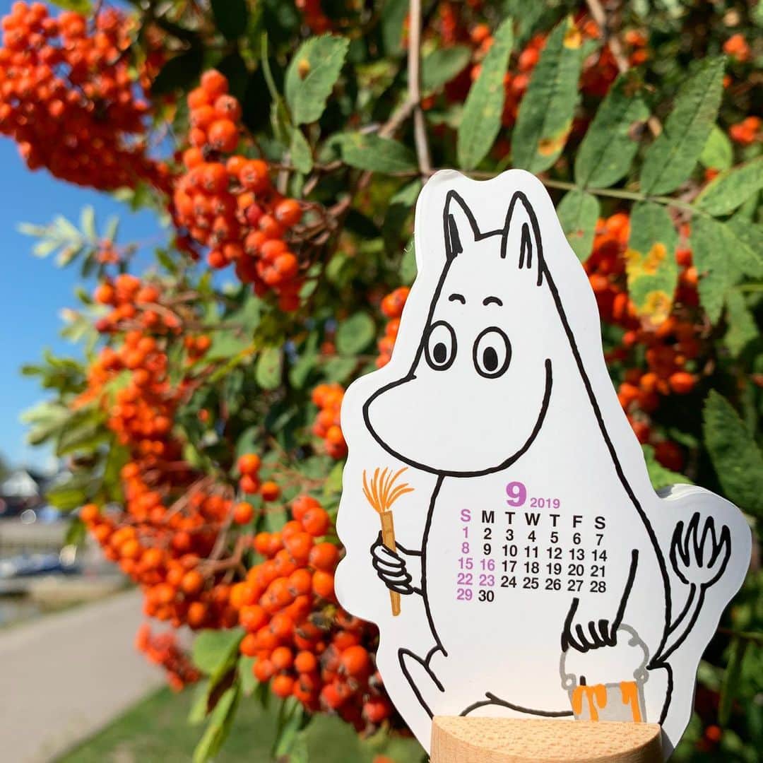 ムーミンさんのインスタグラム写真 - (ムーミンInstagram)「#September has arrived🧡 What is your favourite thing about fall?🍂🍁 Have a Moominous day!🧡 #moomin #moominofficial #monthly #calendar #mymoomin」9月1日 23時47分 - moominofficial