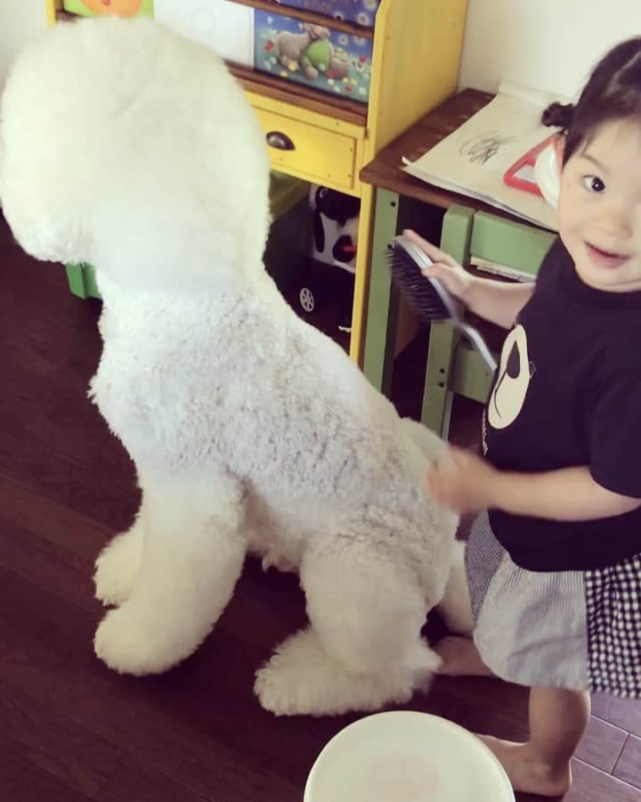 たまねぎのインスタグラム