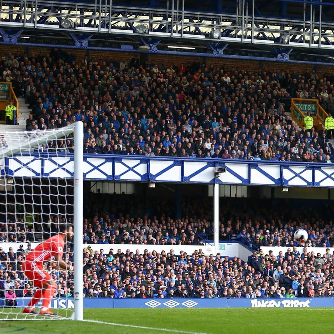 エヴァートンFCさんのインスタグラム写真 - (エヴァートンFCInstagram)「WHAT. A. HEADER. 🎯 • • • #everton #efc #blues #toffees #coyb #goodison #richarlison #brazil #brasil #pombo #wolves #evewol #goal #celebration #premierleague #pl」9月2日 0時05分 - everton