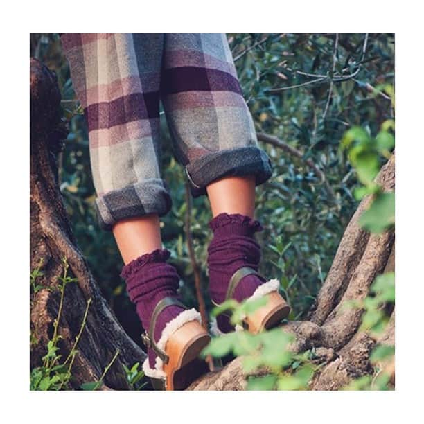 のインスタグラム：「Get ready to fall in love with our lace trim knee-highs ! 😻 . Lace detail add more flare for your dress, trousers or skirt outfits. Available in many beautiful colours! Discover them all! 🤩 . 🇫🇷 Alerte fondance … 😻🚨 . Un petit détail qui compte … vous allez craquer pour ces merveilles ! . Découvrez sans plus attendre la palette de couleurs ! Commandez votre paire maintenant ! 🤩 . Picture by @lesmacaronsdenathalie . #collegien #collegiensocks #collegien_officiel #海外ベビー服 #ロンパース #女の子ベビー #女の子#赤ちゃん #赤ちゃんのいる生活 #ベビモ #madeinfrance #extrasoft #bestsocksever #barneklær #kinderstrümpfe #kniestrümpfe #靴下 #носки #sokker #instamum #lacetrimkneehigh #ruffle #lacetrim」