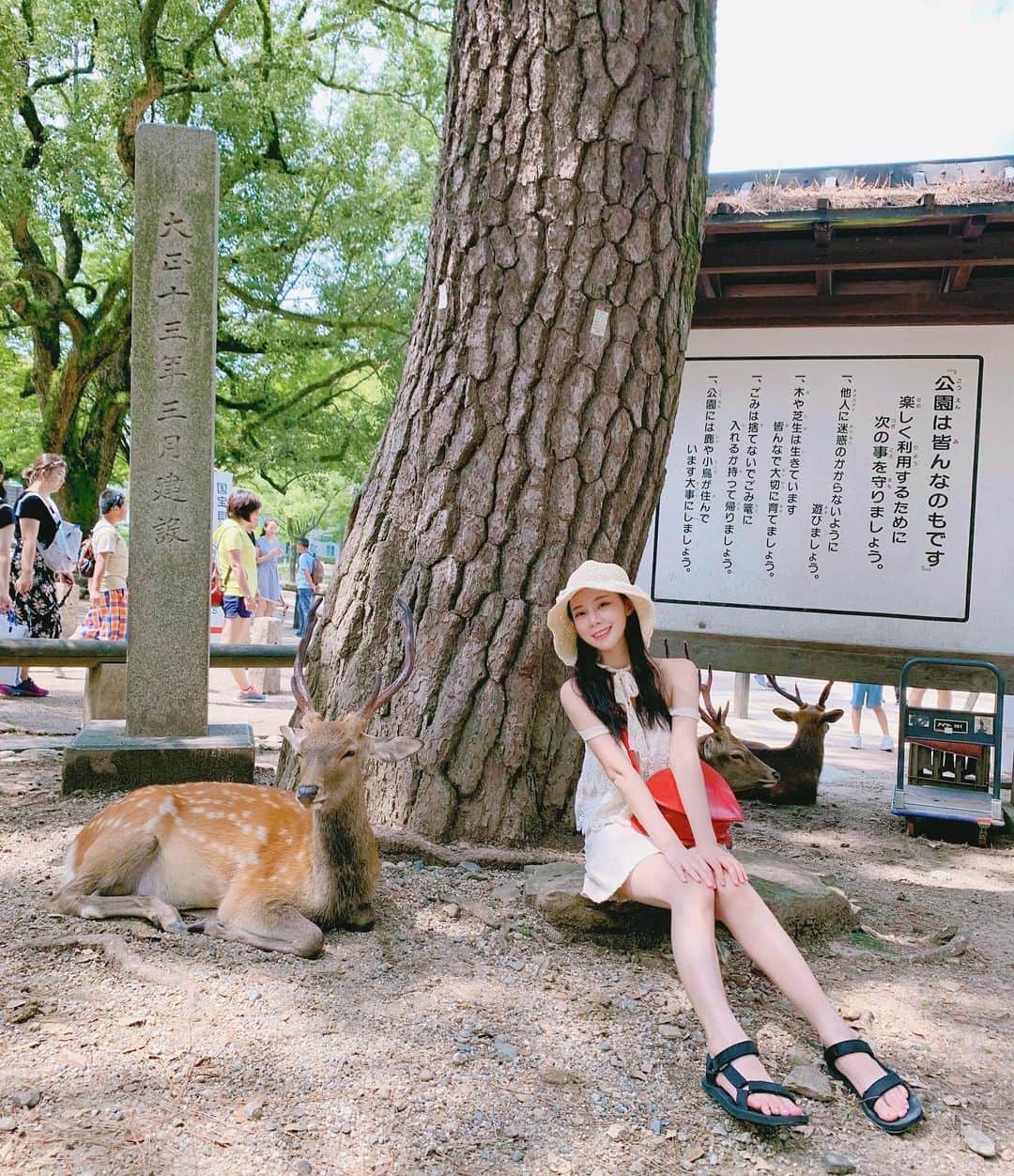 張香香さんのインスタグラム写真 - (張香香Instagram)「好不容易找到的和小鹿合照的最佳位置🦌」9月1日 16時34分 - m40925