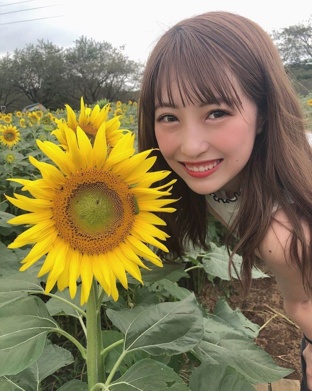 華山志歩さんのインスタグラム写真 - (華山志歩Instagram)「﻿ 去年は行けなかったから﻿ 今年こそどうしても行きたくて！﻿ 行ってきました！向日葵畑🌻﻿ ﻿ ギリギリ咲いてたんだ！間に合ってよかった〜！﻿ ﻿ ちなみにこの写真の隠れポイントは幼虫だよ🐛」9月1日 16時42分 - shiho_hanayama_official