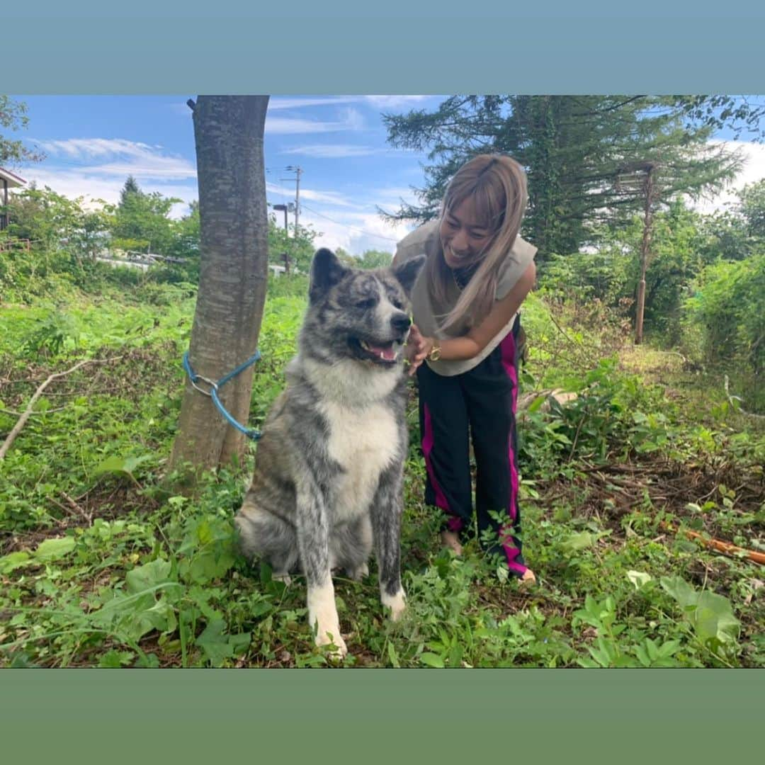 山口りささんのインスタグラム写真 - (山口りさInstagram)「@angelica_michibata  保護犬イベント🐶  秋田犬にも会えた」9月1日 17時00分 - hairmakeupbylisayamaguchi