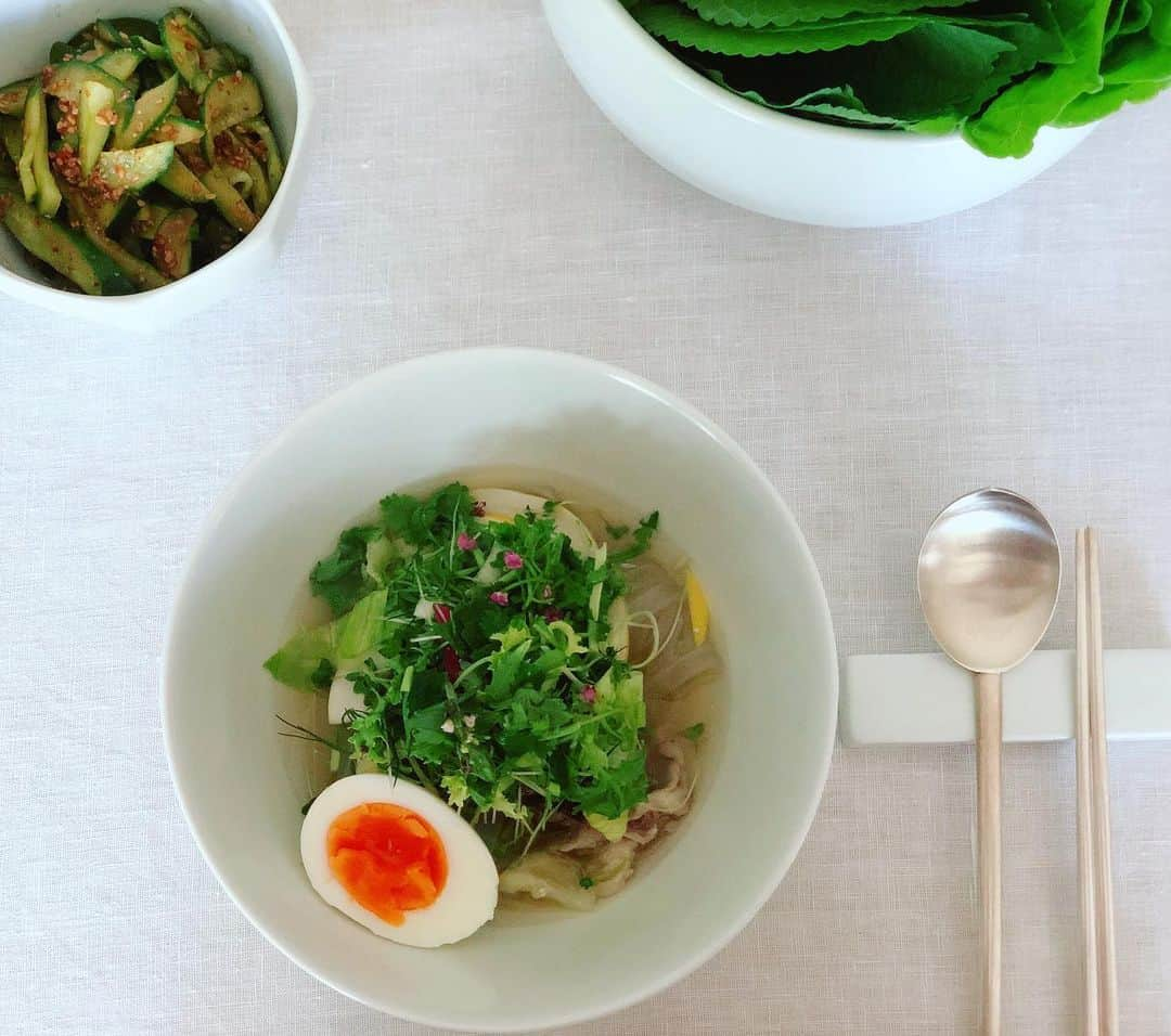 内山理名さんのインスタグラム写真 - (内山理名Instagram)「ハーブ 葛冷麺🙊 ・ ✔︎レタス ✔︎パクチー ✔︎ディル ✔︎ミント ✔︎からし菜 ✔︎レモン ✔︎紫蘇の実etc.. ➕牛スネ肉 ・ キンキンに冷やしたスープを注いで 最高！！ ・ #cookingclass #葛冷麺 #ハーブ #料理教室」9月1日 17時01分 - rinauchiyama_official