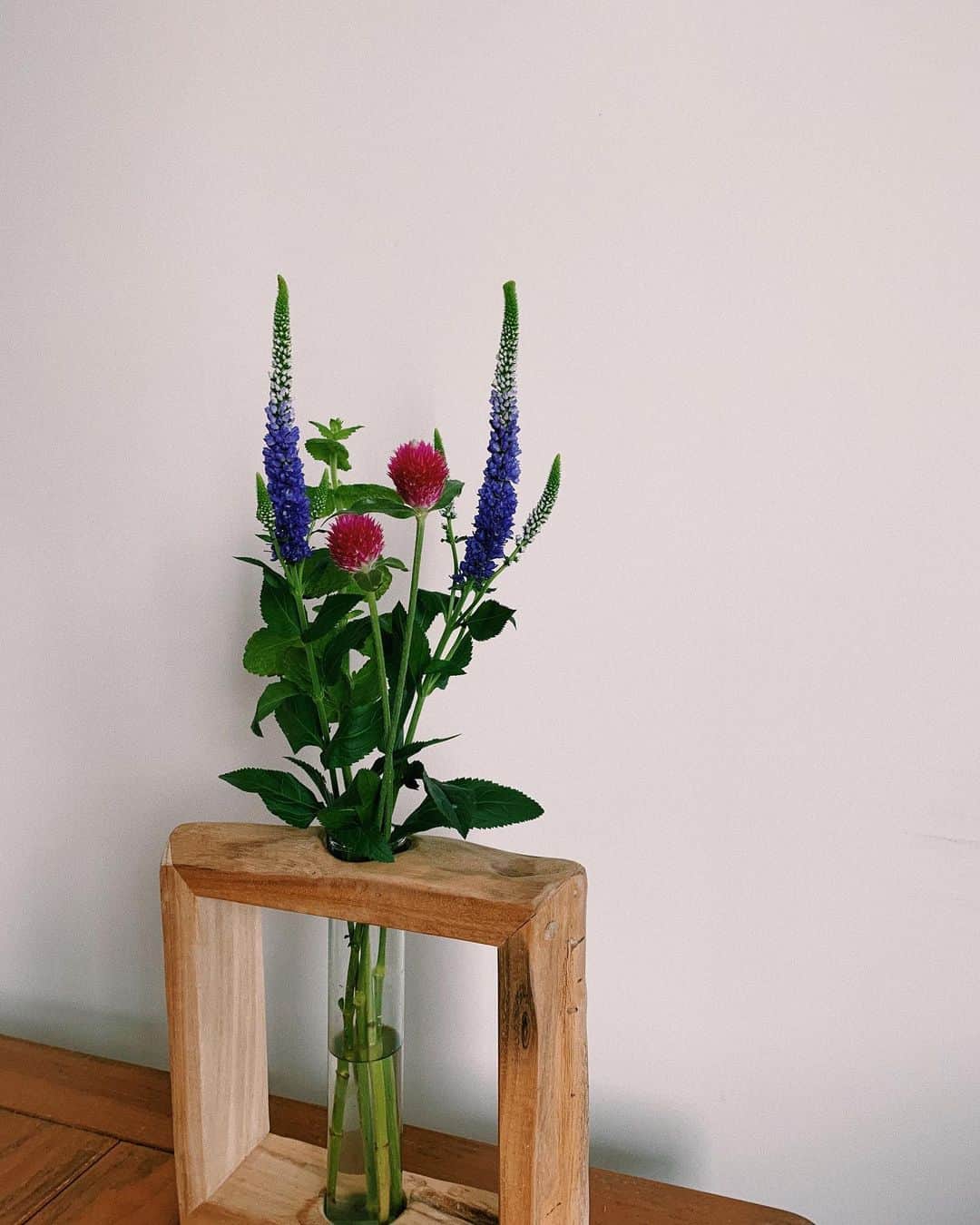 のインスタグラム：「摘んできたみたいな感じが大事🍃🌷」