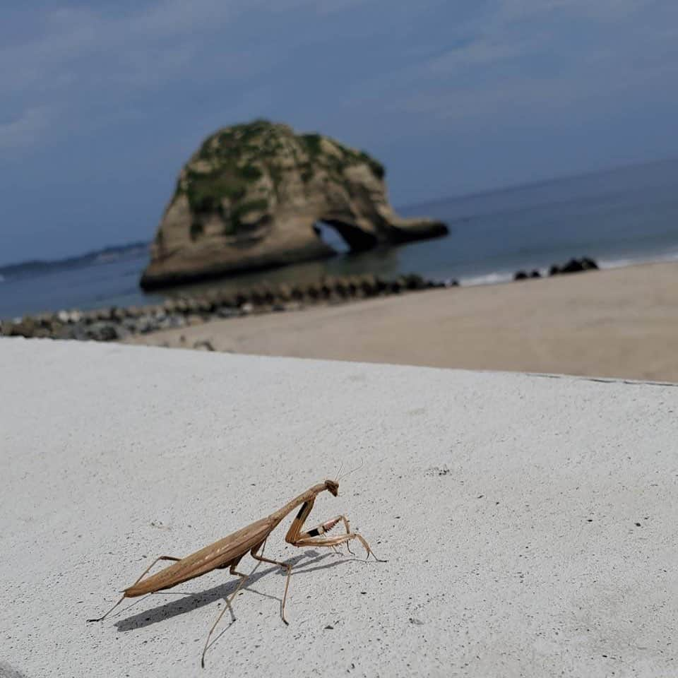 吉永啓之輔のインスタグラム