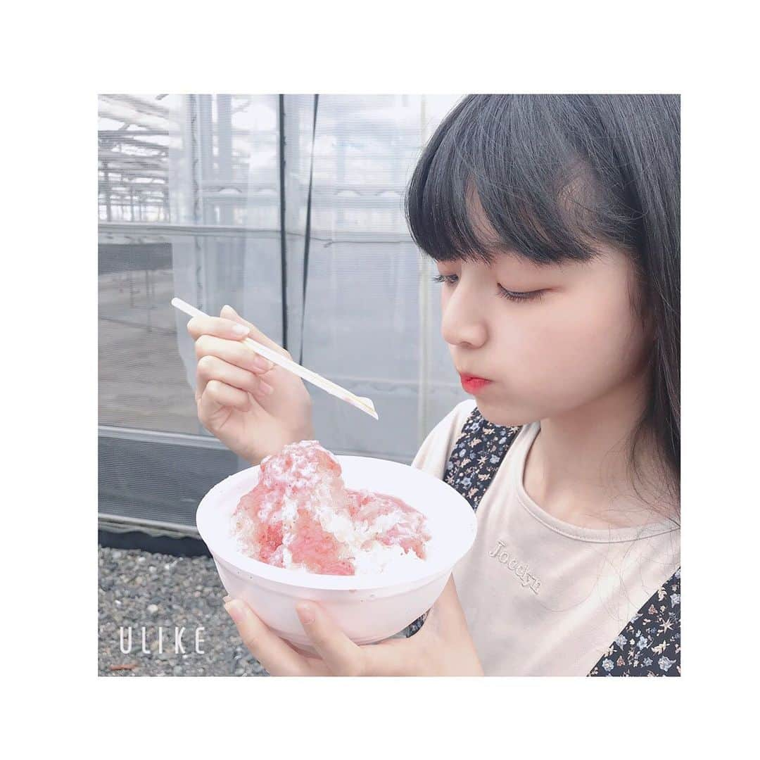 小林咲葵さんのインスタグラム写真 - (小林咲葵Instagram)「🌻﻿ 果肉ごろごろかき氷🍓﻿ ﻿ 練乳をかけるとさらにおいしい😋﻿ ﻿ #小林咲葵﻿ #かき氷﻿ #花の海﻿ #いちご﻿ #練乳」9月1日 18時50分 - saki0819_k