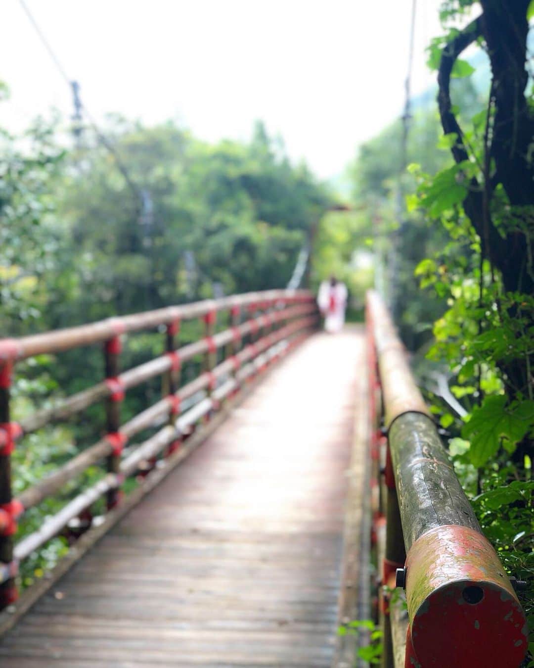 湯浅喬子のインスタグラム：「ずっと楽しみにしていた オーベルジュ土佐山 (@auberge_tosayama)へ🌿 . とにかくお食事が美味しくて、 ヴィラから見える景色が絶景🌙 . 星が綺麗に見える露天風呂や エステが最高⭐️ . 大自然の中なので時間も忘れるほどの ゆっくりとした気分になれる贅沢な旅でした🕛 . #高知#旅行#auberge #aubergetosayama#オーベルジュ土佐山#浴衣#高知旅行#自然好き#絶景#インスタ映え#タビジョ#trip」