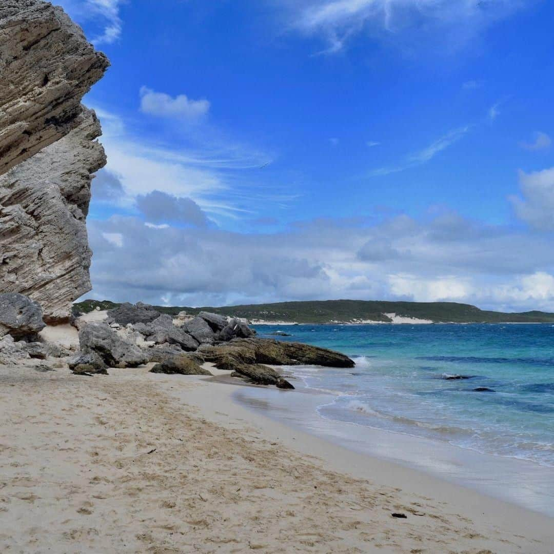 Lonely Planetさんのインスタグラム写真 - (Lonely PlanetInstagram)「'Hamelin Bay is one of the gorgeous beaches in the region, and is frequented by some very special guests… stingrays often swim right up to the shore so it’s possible to see them from a few steps away! ' – @alovelyplanet -- Tap our bio link for more info on Margaret River and Southern WA, our #BestinAsiaPacific destination for 2019! #Australia」9月1日 19時00分 - lonelyplanet