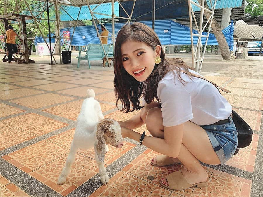 Marika Kajiwaraさんのインスタグラム写真 - (Marika KajiwaraInstagram)「タイの動物園で 仲良くなった子ヤギ君🐐♡ ＊ わんちゃんみたいに 尻尾振ってついてくるねん😭🧡 ＊ 懐っこくてかわいかった〜🥺 ＊ ＊ ＊ #シラチャータイガーズー #やぎ #タイ #タイ旅行 #旅行 #女子旅 #タビジョ #tiger #babytiger #trip #tabijyo #tabimuse #traveler #instagood #marika_trip」9月1日 19時20分 - marika__kw