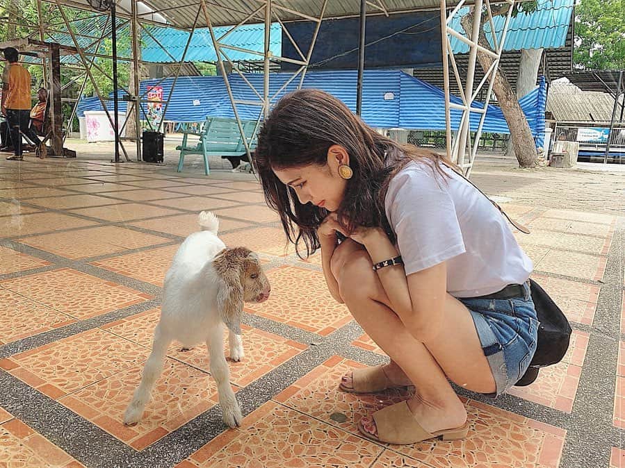 のインスタグラム：「タイの動物園で 仲良くなった子ヤギ君🐐♡ ＊ わんちゃんみたいに 尻尾振ってついてくるねん😭🧡 ＊ 懐っこくてかわいかった〜🥺 ＊ ＊ ＊ #シラチャータイガーズー #やぎ #タイ #タイ旅行 #旅行 #女子旅 #タビジョ #tiger #babytiger #trip #tabijyo #tabimuse #traveler #instagood #marika_trip」