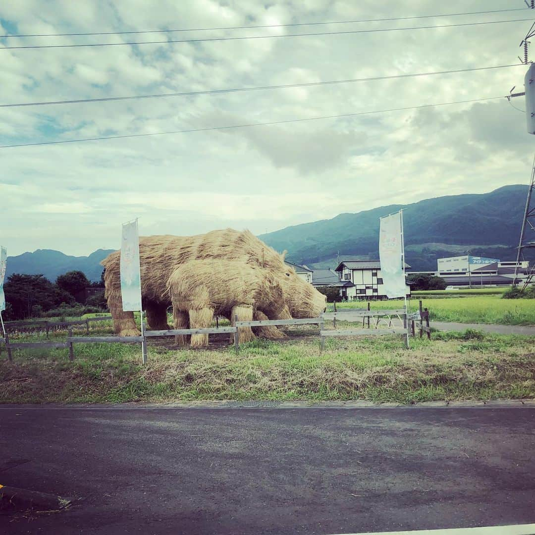 井上侑さんのインスタグラム写真 - (井上侑Instagram)「野外の気持ちいいステージで、秋の気配を感じながら、 出逢えた皆様、ありがとうございました。  新潟から、長野から、東京から、群馬県民といえども2時間かけて… 足を運んでくださって、ほんとうにありがとう。 嬉しかったぁ。 初めましてのみなかみ町の皆様も、耳を傾けてくださった皆様も、特別な時間をありがとう。  ビビリで恥ずかしがり屋で強がりでワガママな心が、今日もパカっと開く音がした。  歌が歌える喜びを、身体いっぱいかんじたよ。  あなたに出逢えたおかげさま。  #キラフェスみなかみ #またね #生きてるって生きてるっていいね #あなたに会える そんなこと思ってたら乗り過ごしたね🚃 戻ろうね 帰ろうね #お家へ #今日もありがと #太陽さん」9月1日 19時28分 - yuinouehappy