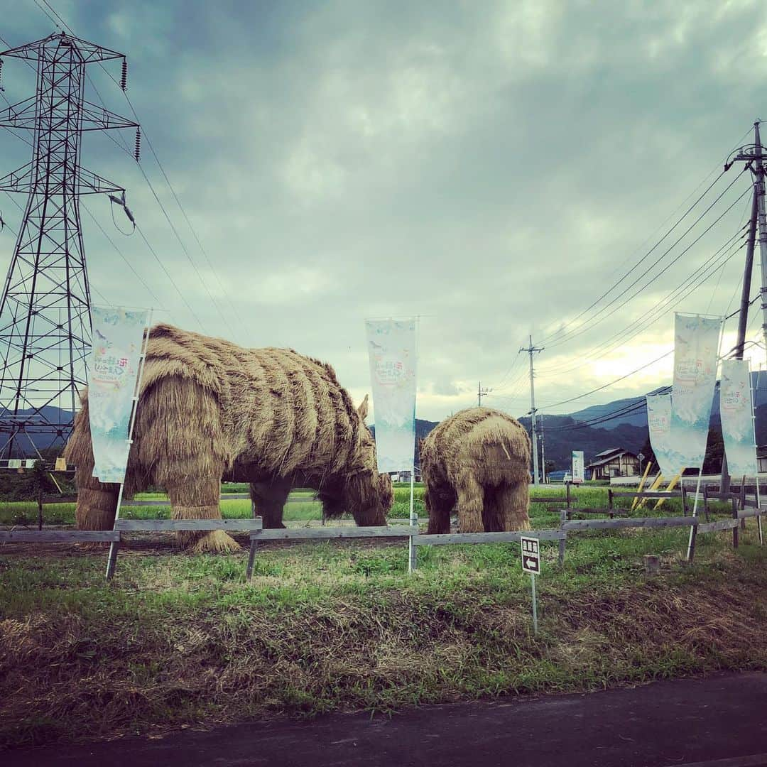 井上侑さんのインスタグラム写真 - (井上侑Instagram)「野外の気持ちいいステージで、秋の気配を感じながら、 出逢えた皆様、ありがとうございました。  新潟から、長野から、東京から、群馬県民といえども2時間かけて… 足を運んでくださって、ほんとうにありがとう。 嬉しかったぁ。 初めましてのみなかみ町の皆様も、耳を傾けてくださった皆様も、特別な時間をありがとう。  ビビリで恥ずかしがり屋で強がりでワガママな心が、今日もパカっと開く音がした。  歌が歌える喜びを、身体いっぱいかんじたよ。  あなたに出逢えたおかげさま。  #キラフェスみなかみ #またね #生きてるって生きてるっていいね #あなたに会える そんなこと思ってたら乗り過ごしたね🚃 戻ろうね 帰ろうね #お家へ #今日もありがと #太陽さん」9月1日 19時28分 - yuinouehappy