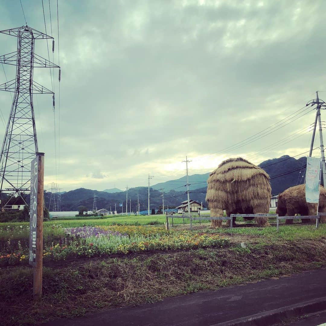 井上侑さんのインスタグラム写真 - (井上侑Instagram)「野外の気持ちいいステージで、秋の気配を感じながら、 出逢えた皆様、ありがとうございました。  新潟から、長野から、東京から、群馬県民といえども2時間かけて… 足を運んでくださって、ほんとうにありがとう。 嬉しかったぁ。 初めましてのみなかみ町の皆様も、耳を傾けてくださった皆様も、特別な時間をありがとう。  ビビリで恥ずかしがり屋で強がりでワガママな心が、今日もパカっと開く音がした。  歌が歌える喜びを、身体いっぱいかんじたよ。  あなたに出逢えたおかげさま。  #キラフェスみなかみ #またね #生きてるって生きてるっていいね #あなたに会える そんなこと思ってたら乗り過ごしたね🚃 戻ろうね 帰ろうね #お家へ #今日もありがと #太陽さん」9月1日 19時28分 - yuinouehappy