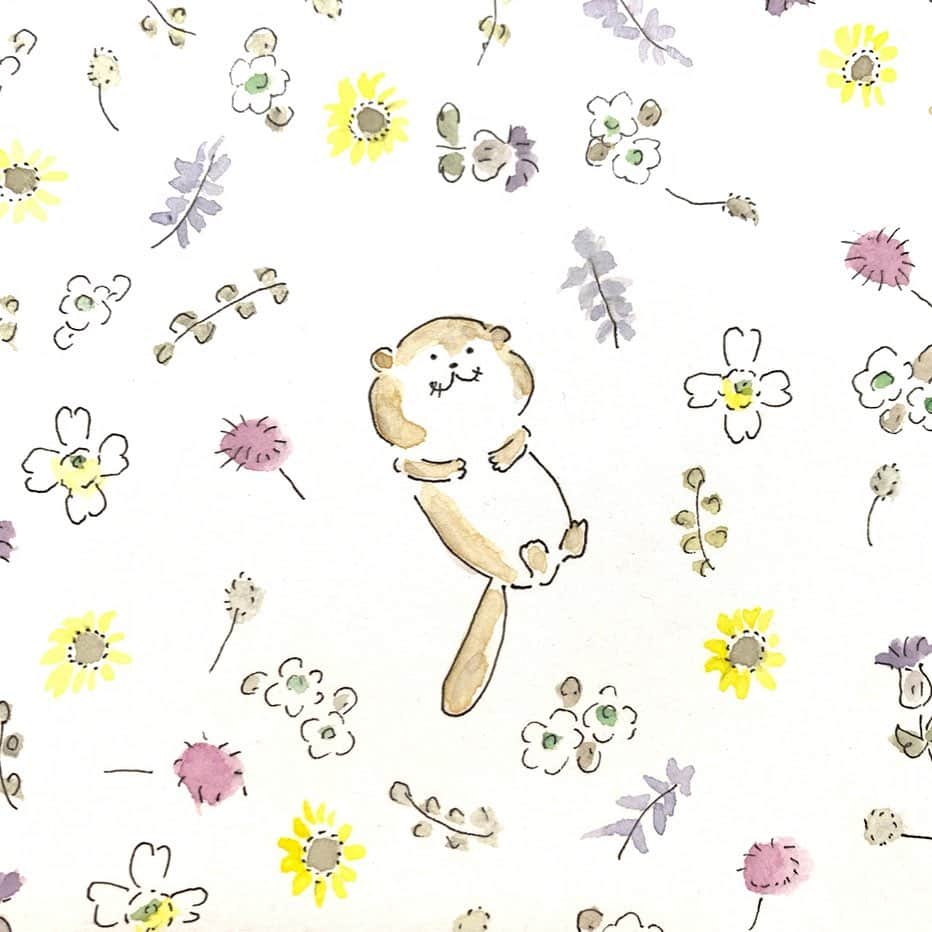 ハルペイさんのインスタグラム写真 - (ハルペイInstagram)「🍉 夏休みおわたー。 . 夏休みの打ち上げでちょっとつまんでデザート頼んだら桑田さんw（2枚目） . #夏痩せ  #ってなに . #ぷくぷく . #かわうそ  #夏休みおわり . #打ち上げ #harupei#doodle#draw#drawing#illustrator#illustration#japan#絵#雑貨#湘南#イラスト#イラストレーター#ゆるいイラスト#ゆるい#ゆるかわ #茅ヶ崎 #サザンカンフォート茅ヶ崎」9月1日 20時10分 - harupeipei