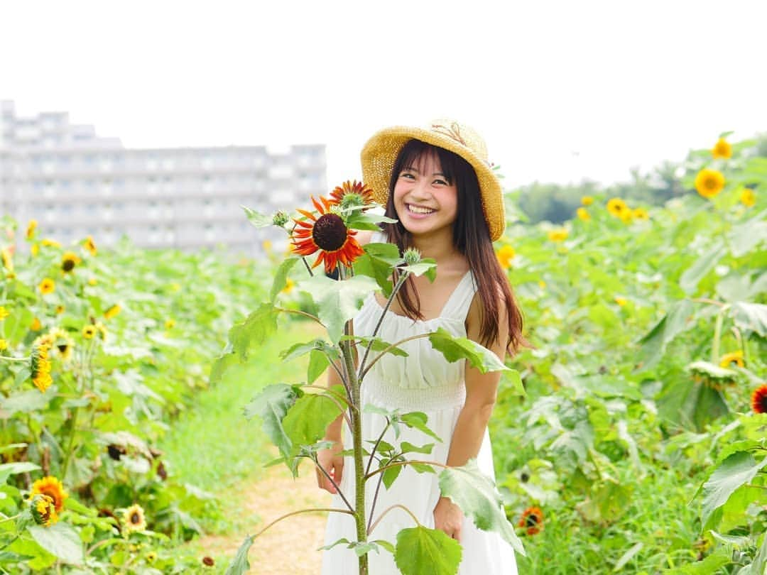 柚月美穂さんのインスタグラム写真 - (柚月美穂Instagram)「#randompic . . 夏が過ぎていくね。 . . . 向日葵にも沢山種類があるのだと 知る事のできた夏でした🌻 . . #向日葵 #ひまわり #sunflower #ひまわりガーデン武蔵村山 . #lumix #lumixgh4 #GH4 #leica  #42mm (42.5mm) #85mm #12mm  #60mm #24mm #120mm .」9月1日 21時02分 - mihoyuzuki