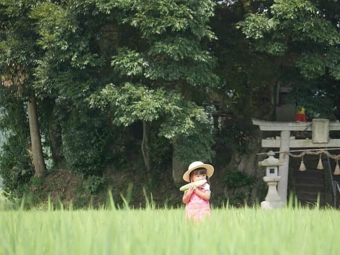 コドモノ！写真部さんのインスタグラム写真 - (コドモノ！写真部Instagram)「🕊💕 今回ご紹介するのは @chika0313 さんの投稿です。 . 森＋トウモロコシ＋麦わら帽子のデジャビュ📽 大事そうにトウモロコシを持つ手が可愛いすぎます😍 . @chika0313 さん「#コドモノ」のハッシュタグ付けありがとうございました。 . お子様のカワイイ姿、面白い瞬間、なんとも言えない表情などなど毎日募集中！@kodomono_photoをフォローの上、#コドモノ をつけて投稿してください💕 素敵な写真や動画はコドモノ！写真部がフィーチャーさせていただきます。 . 🍼画像や動画は投稿者様に許諾を得てコドモノ！写真部に掲載しています。ご本人以外の無断転載はお控えください。 . ▼▽▼投稿毎日募集中▼▽▼ . #女の子 #森 #トウモロコシ #麦わら帽子 #子供 #コスプレ #トトロ #親バカ部 #女の子ベビー #babygirl #なりきり #1歳 #1歳児 #可愛い #大女優」9月1日 21時00分 - kodomono_photo