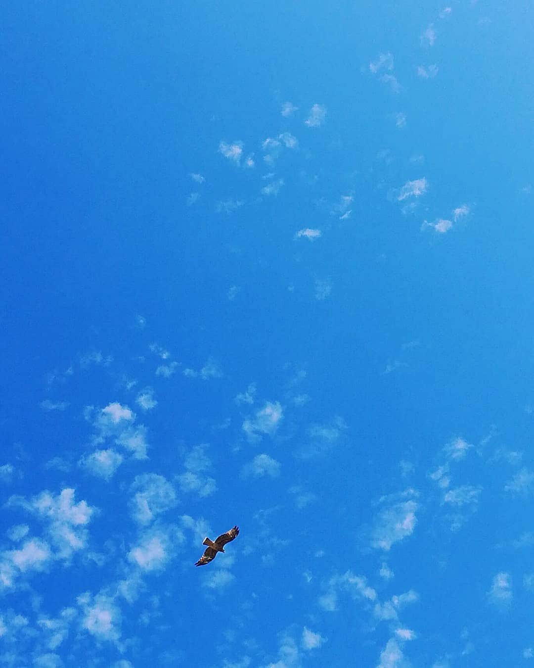 河瀬杏美のインスタグラム：「Hello Sep😊☁ * #セプテンバーさん #🥰🎶」