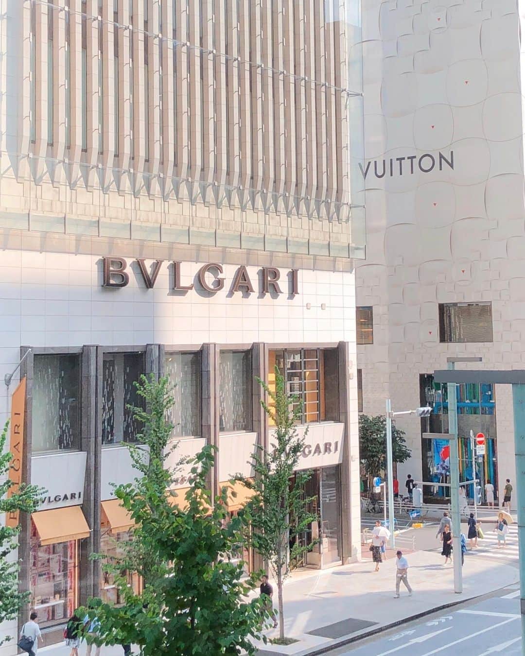 新井椎己のグルメインスタ